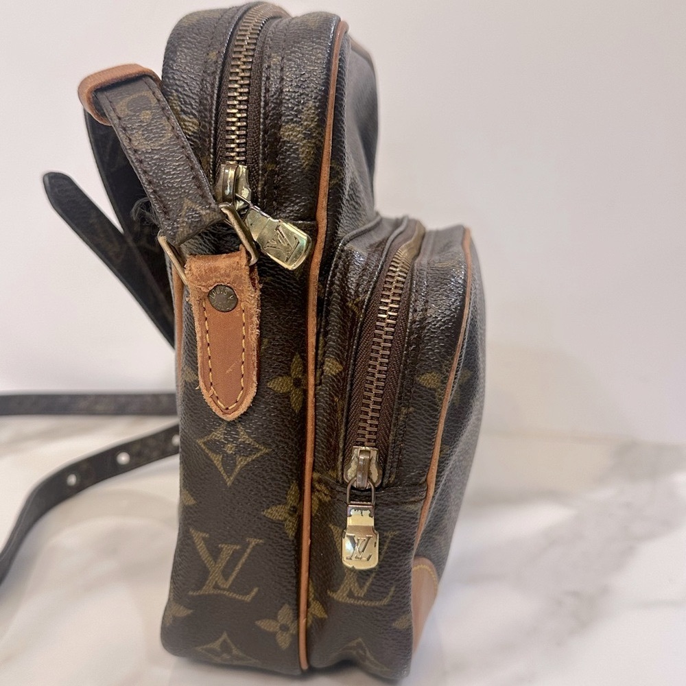 Louis Vuitton Monogram Amazon Bag - Picture 4 of 11